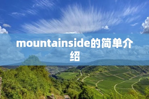 mountainside的简单介绍 mountainside的简单介绍