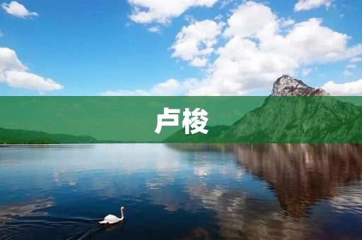 卢梭：追求真理的哲学家