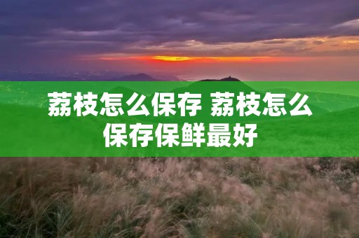 荔枝怎么保存 荔枝怎么保存保鲜最好