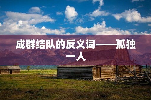 成群结队的反义词——孤独一人