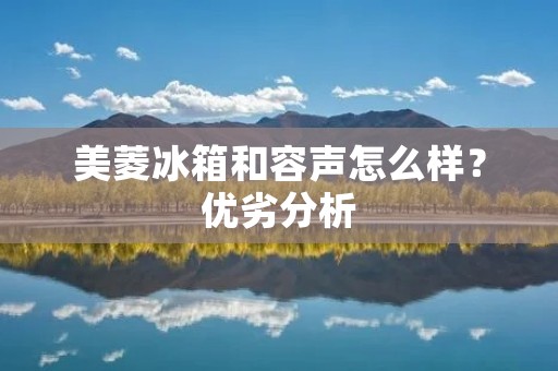 美菱冰箱和容声怎么样?优劣分析 美菱冰箱和容声怎么样?优劣分析