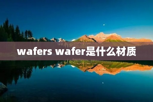 wafers wafer是什么材质