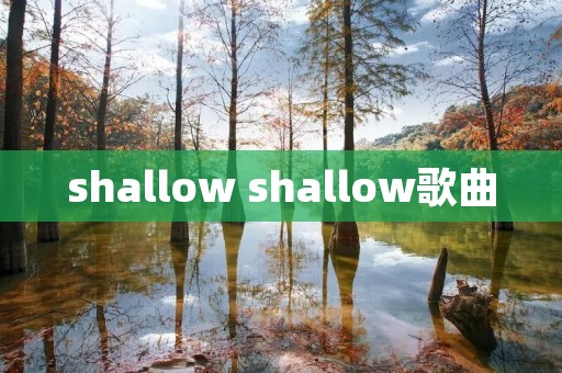 shallow shallow歌曲
