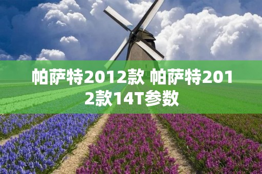 帕萨特2012款 帕萨特2012款14T参数