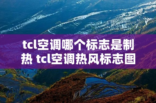 tcl空调哪个标志是制热 tcl空调热风标志图片