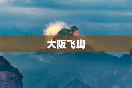 大阪飞脚：日本足球文化的代表