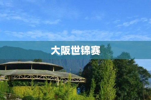 大阪世锦赛：中国体操队的辉煌时刻