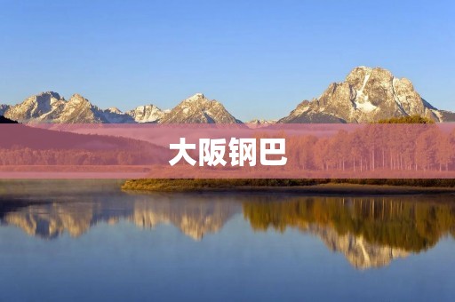 大阪钢巴：一支来自日本的足球劲旅