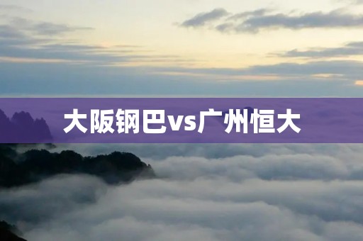 大阪钢巴vs广州恒大：亚冠之战