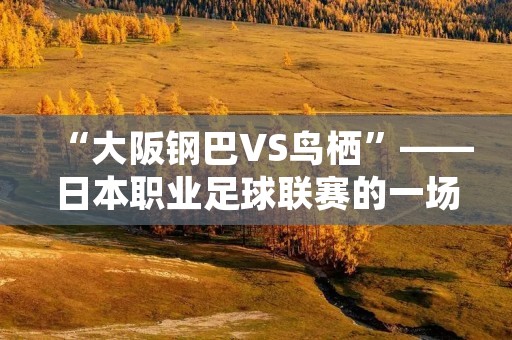 “大阪钢巴VS鸟栖”——日本职业足球联赛的一场激烈角逐 “大阪钢巴VS鸟栖”——日本职业足球联赛的一场激烈角逐