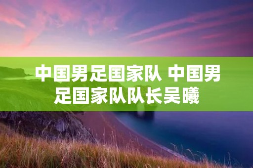 中国男足国家队 中国男足国家队队长吴曦