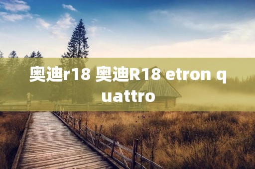 奥迪r18 奥迪R18 etron quattro 奥迪r18 奥迪R18 etron quattro