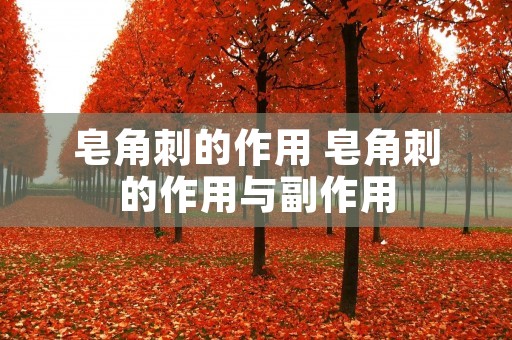 皂角刺的作用 皂角刺的作用与副作用