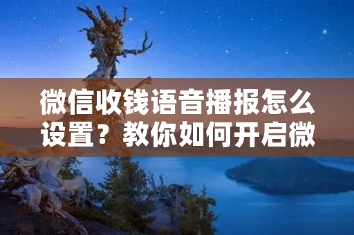 微信收钱语音播报怎么设置?教你如何开启微信语音播报功能