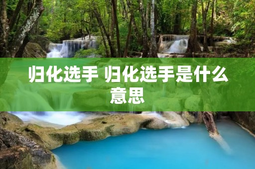 归化选手 归化选手是什么意思 归化选手 归化选手是什么意思