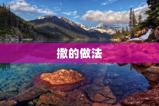 撒的做法：传统美食的独特魅力