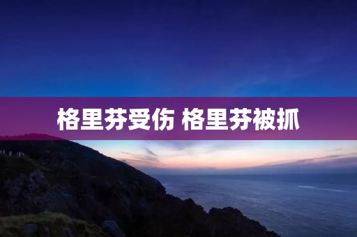 格里芬受伤 格里芬被抓