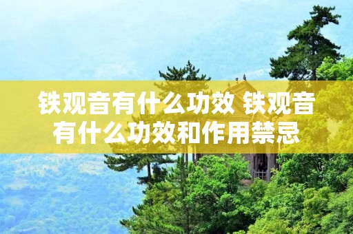 铁观音有什么功效 铁观音有什么功效和作用禁忌