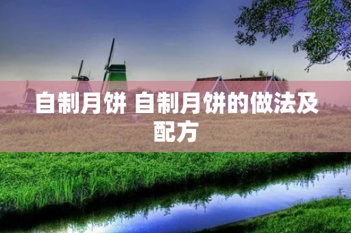 自制月饼 自制月饼的做法及配方