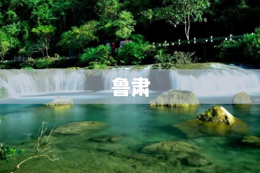 鲁肃:三国时期蜀汉名将