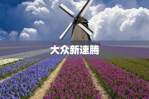 大众新速腾:经典品质与科技驱动的完美结合 大众新速腾:经典品质与科技驱动的完美结合