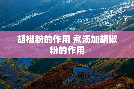 胡椒粉的作用 煮汤加胡椒粉的作用