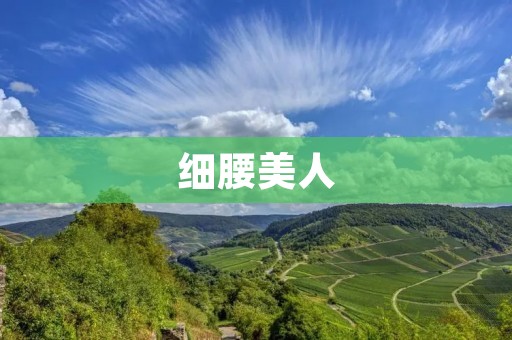 细腰美人：甜柚子笔趣阁的校园爱情故事