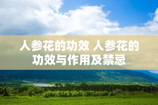 人参花的功效 人参花的功效与作用及禁忌