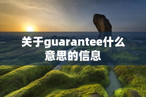 关于guarantee什么意思的信息