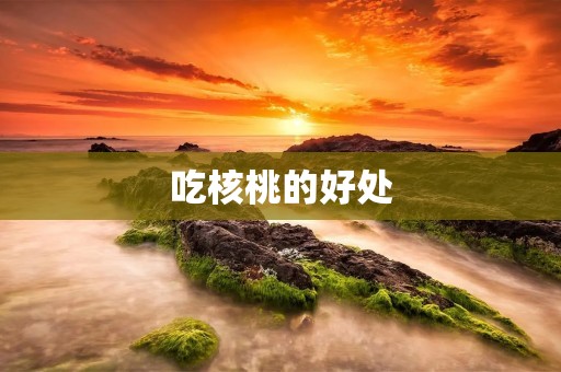 吃核桃的好处:探究健康的多面光芒