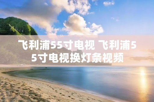 飞利浦55寸电视 飞利浦55寸电视换灯条视频