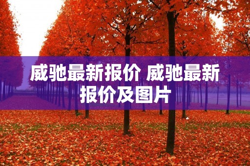 威驰最新报价 威驰最新报价及图片 威驰最新报价 威驰最新报价及图片