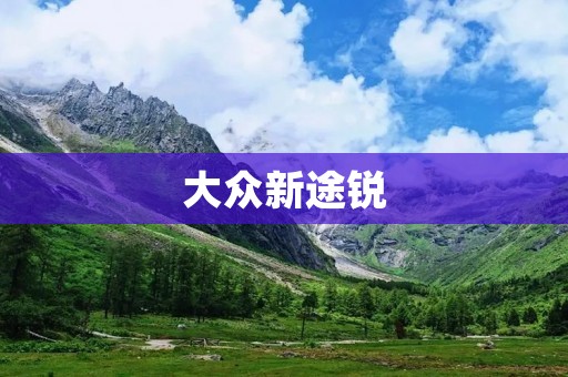 大众新途锐:豪华SUV的新标杆 大众新途锐:豪华SUV的新标杆