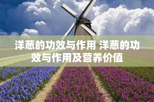 洋葱的功效与作用 洋葱的功效与作用及营养价值