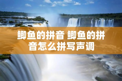 鲫鱼的拼音 鲫鱼的拼音怎么拼写声调
