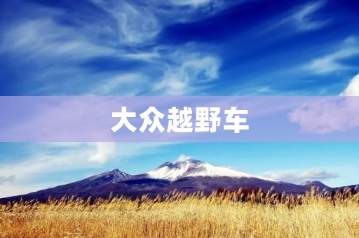 大众越野车:跨越山川河流的全能战士 大众越野车:跨越山川河流的全能战士