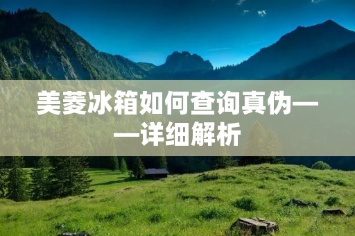 美菱冰箱如何查询真伪——详细解析