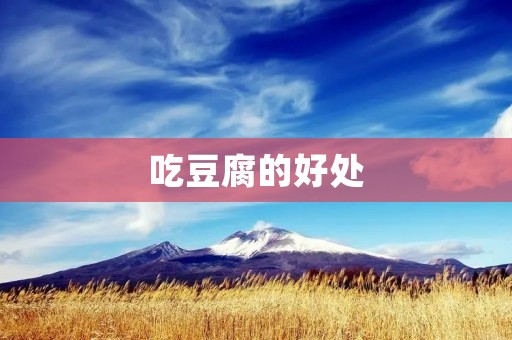 吃豆腐的好处