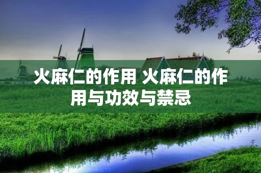 火麻仁的作用 火麻仁的作用与功效与禁忌