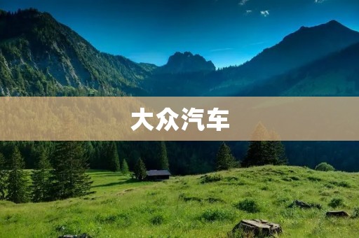 大众汽车：品牌实力与市场表现