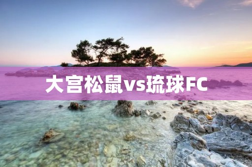 大宫松鼠vs琉球FC:升班马之间的激战 大宫松鼠vs琉球FC:升班马之间的激战