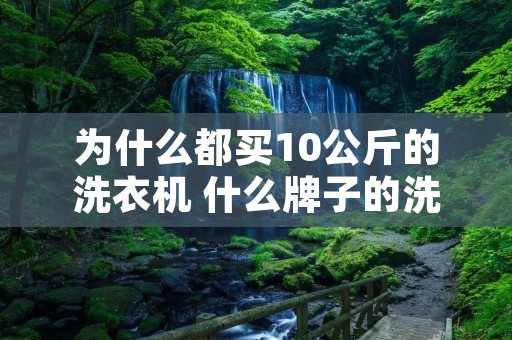 为什么都买10公斤的洗衣机 什么牌子的洗衣机最好 为什么都买10公斤的洗衣机 什么牌子的洗衣机最好