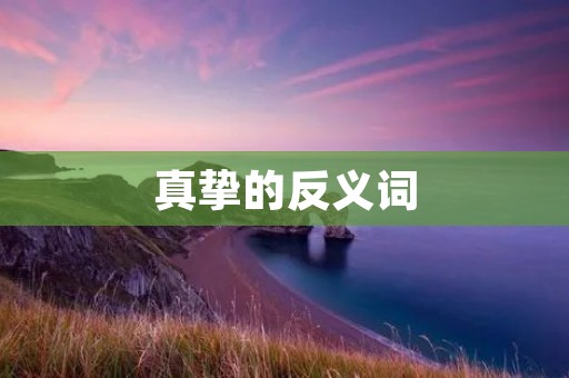 真挚的反义词：虚伪