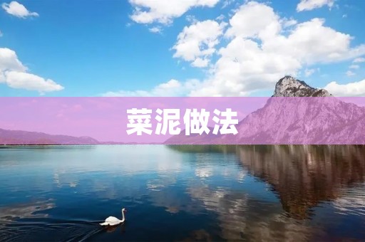 菜泥做法:做出美味又健康的菜泥 菜泥做法:做出美味又健康的菜泥