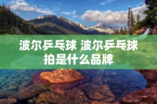 波尔乒乓球 波尔乒乓球拍是什么品牌