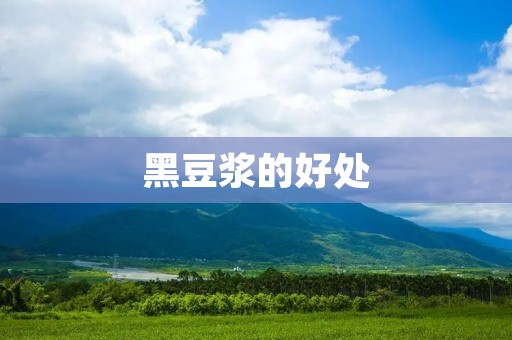 黑豆浆的好处:从营养角度看,它是非常有益的