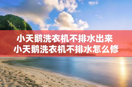小天鹅洗衣机不排水出来 小天鹅洗衣机不排水怎么修