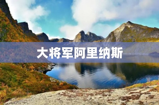 大将军阿里纳斯：帝国军中的杰出领袖