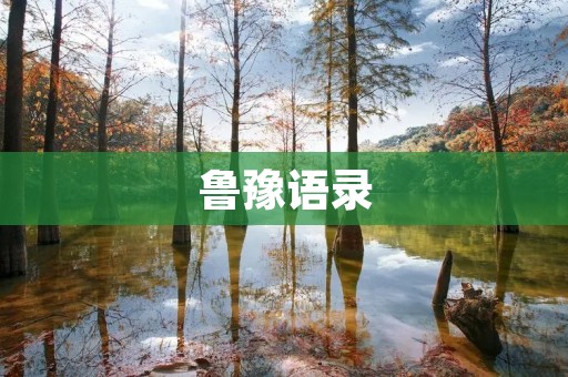 鲁豫语录:感性与理性的交织