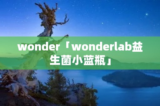 wonder「wonderlab益生菌小蓝瓶」 wonder「wonderlab益生菌小蓝瓶」